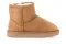 Polacco Soft Junior
