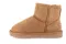 Polacco Soft Junior